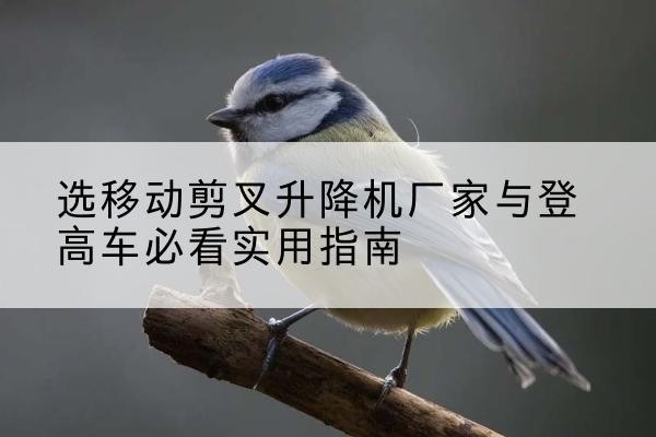 衡水电动升降机厂家-选移动剪叉升降机厂家与登高车必看实用指南