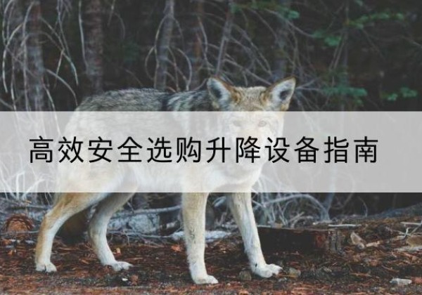 衡水升降货梯厂家推荐-*安全选购升降设备指南