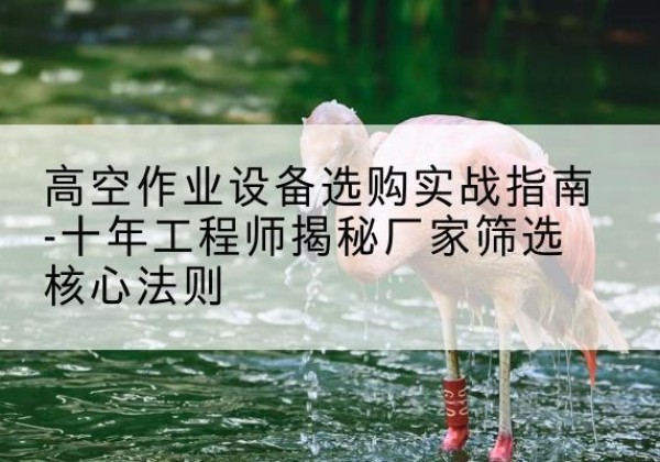 衡水剪叉式升降机厂家-高空作业设备选购实战指南-十年工程师揭秘厂家筛选核心法则