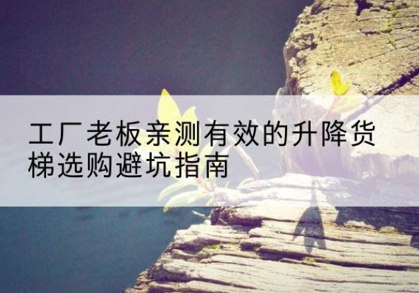 衡水升降货梯怎么选-工厂老板亲测有效的升降货梯选购避坑指南